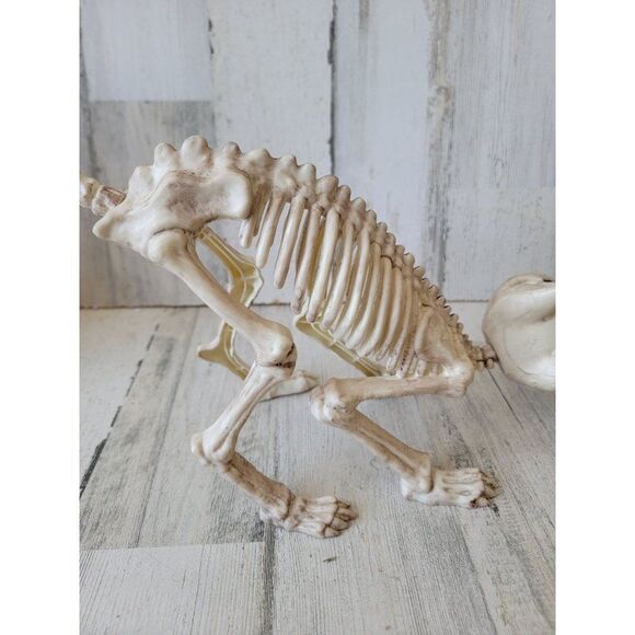 Crazy bonez Seasons cat skeleton Halloween props scary - Picture 5 of 8